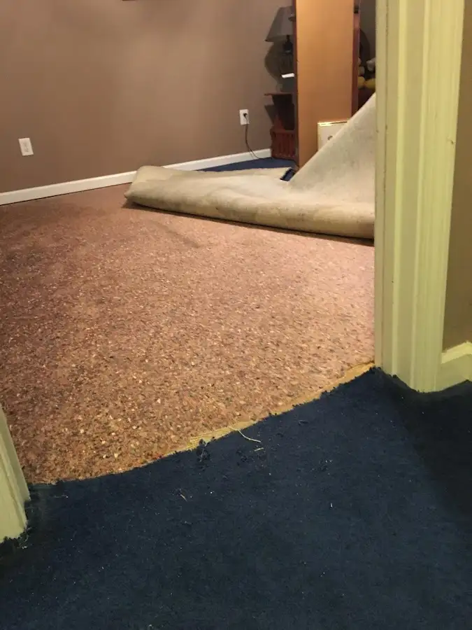 Carpet pad removal revealing water damage during Water Mitigation Services in Willowick